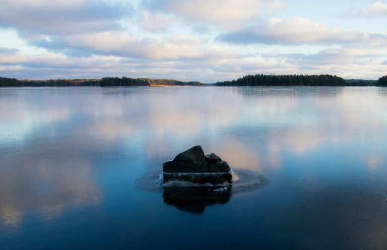 Reflections on my internship at the Centre for Sustainable Ocean Science