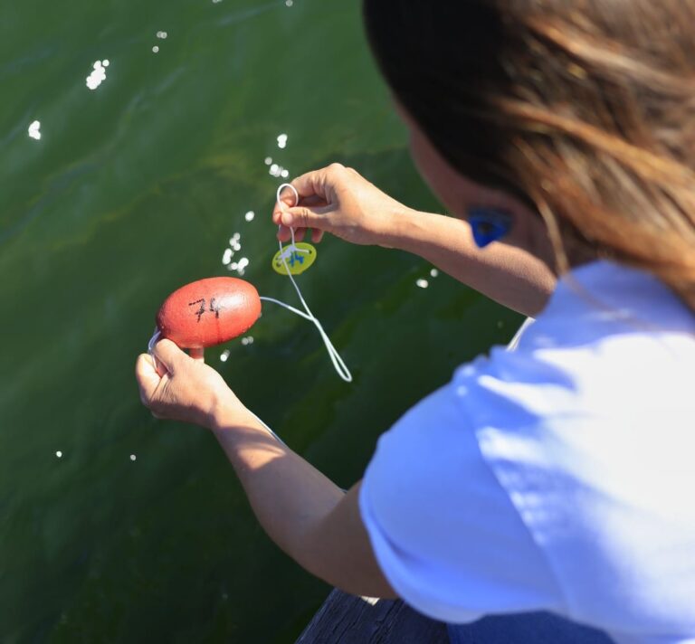 Weather Below the Surface: How Citizen Climate Detectives Are Revealing the Hidden Climate of the Sea