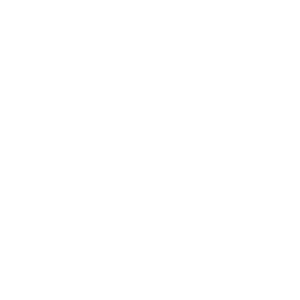 Åbo Akademi University logo.