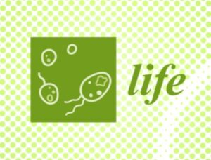 Life logotype.